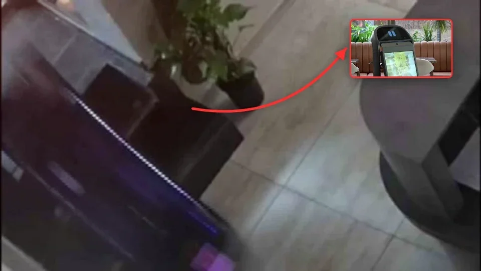 70 milyon yıllık fosil bulundu! İznik Gölü kıyısındaki keşif dikkat çekti