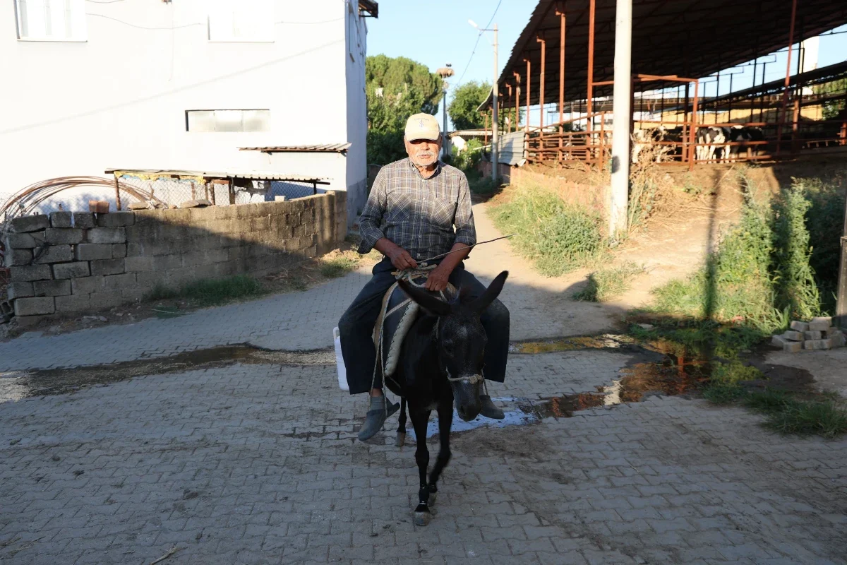 70 yaşındaki Ayhan Amca'nın şoförsüz ve masrafsız süt teslimat aracı görenleri şaşırtıyor
