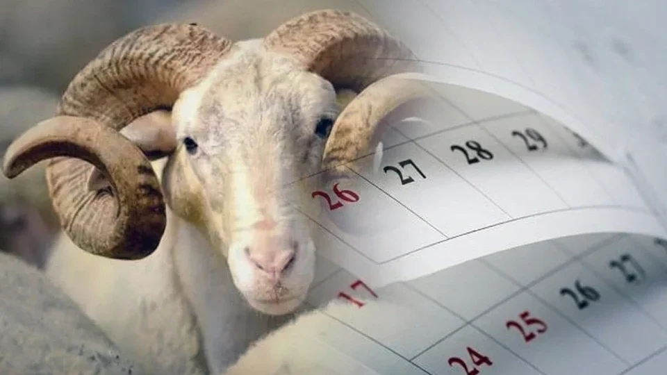9 günlük bayram tatili ne zaman başlıyor? 2026 Kurban Bayramı: 9 günlük tatil kimleri kapsıyor?