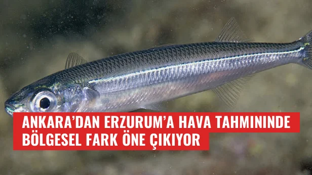 Ankara’dan Erzurum’a hava tahmininde bölgesel fark öne çıkıyor