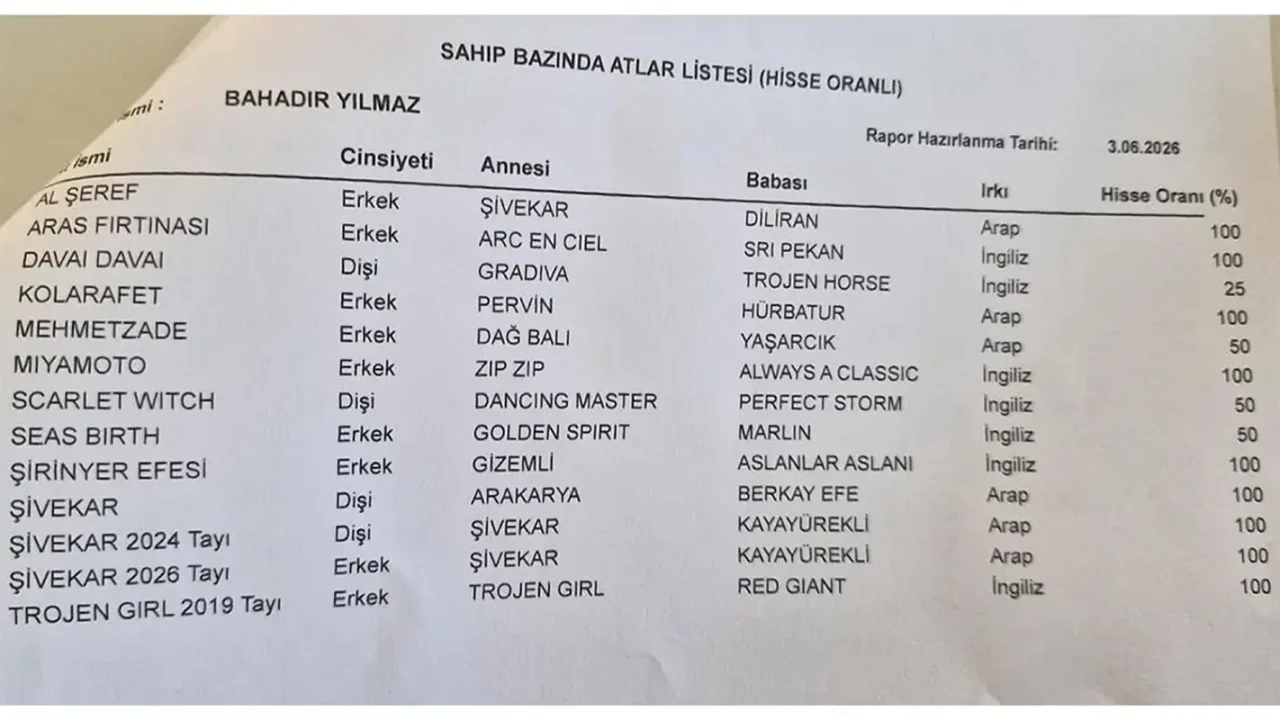 Belediye memurunun mal varlığından çıkanlar pes dedirtti: Rüşvet ağı ortaya çıktı