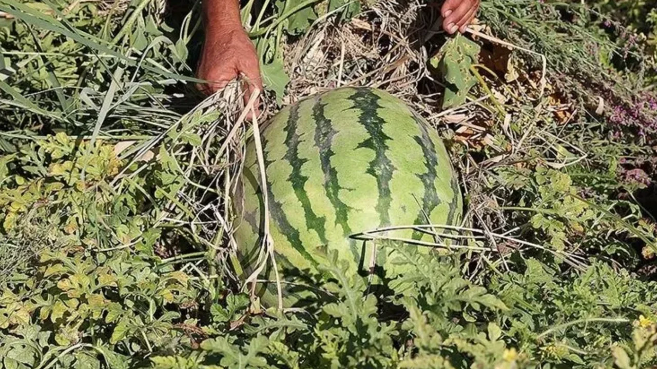 CHP'de 7 il başkanı görevden alındı