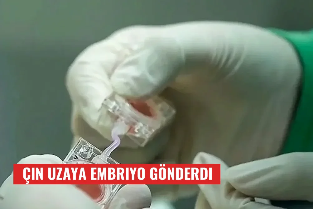 Çin Uzaya Embriyo Gönderdi