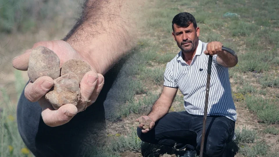 Dağ tepe gezdi aradı buldu: Kazancıyla araba ve arsa aldı