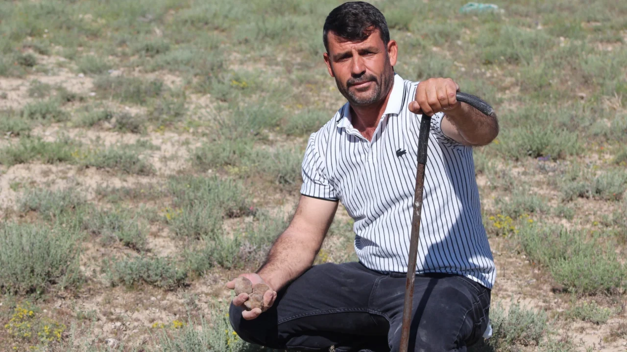 Dağ tepe gezdi aradı buldu: Kazancıyla araba ve arsa aldı