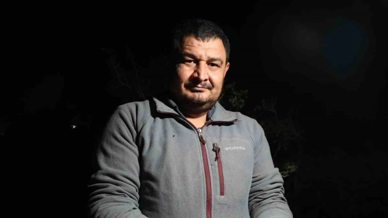 Gece dağlara çıkıp fenerlerle arıyorlar: Kilosu 35 liradan kapış kapış gidiyor