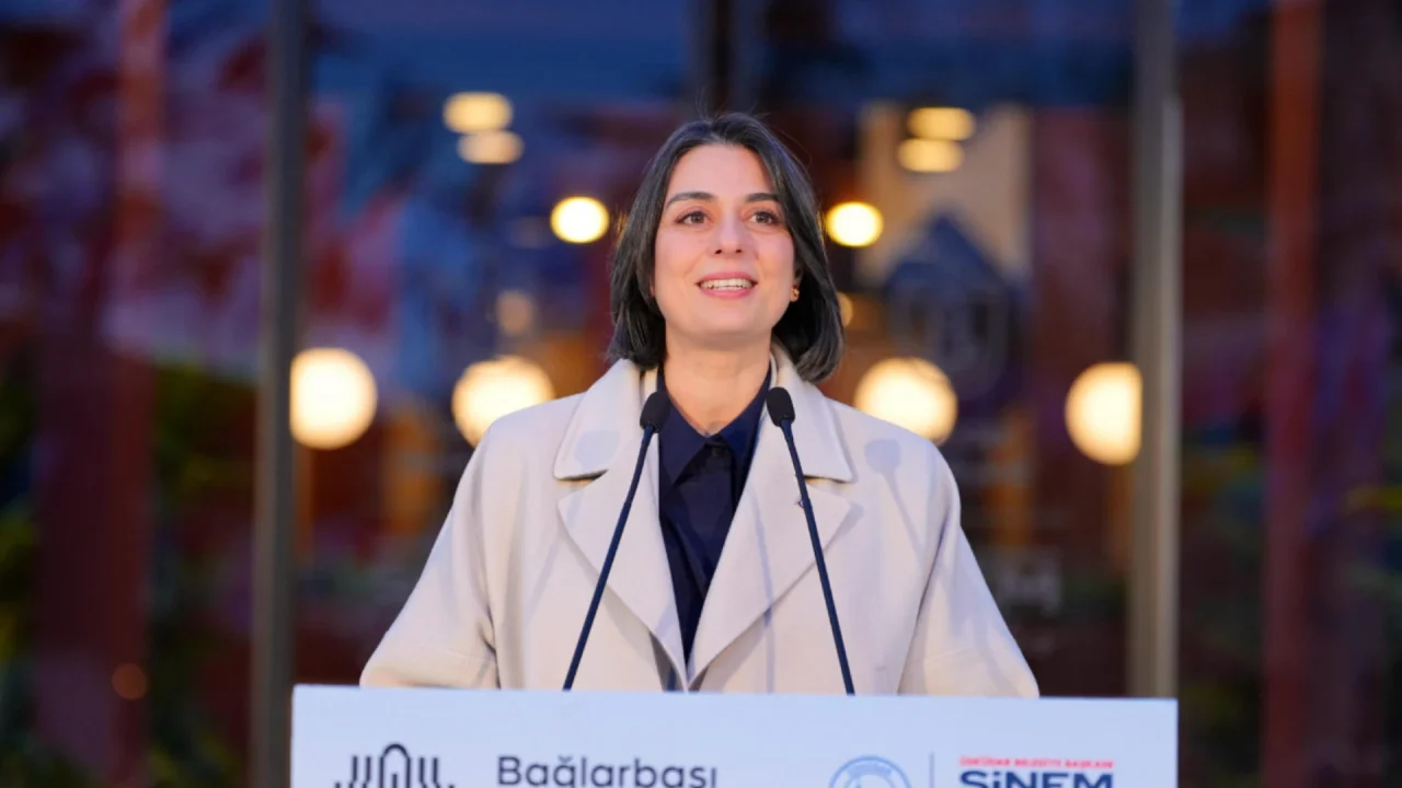 İfade tutanakları ortaya çıktı: Sinem Dedetaş 260 milyonluk skandal için ne söyledi?