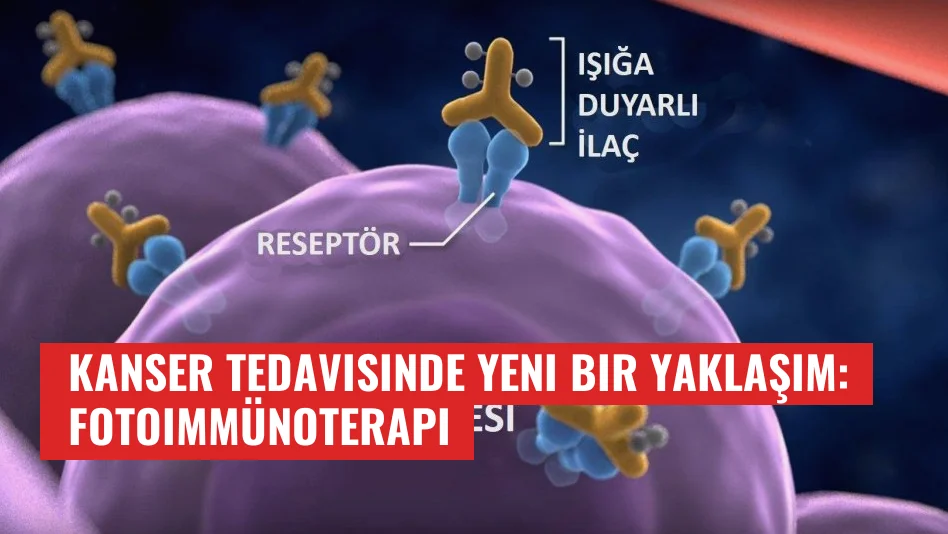 Kanser Tedavisinde Yeni Bir Yaklaşım: Fotoimmünoterapi