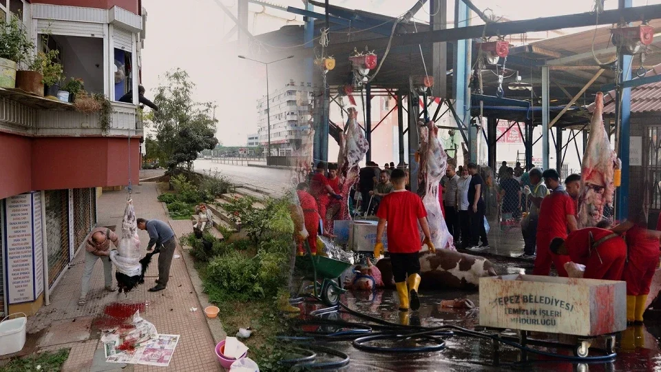 Kurban Bayramı cezaları belli oldu: Sokakta kesime ve atıkları gömmeye rekor ceza
