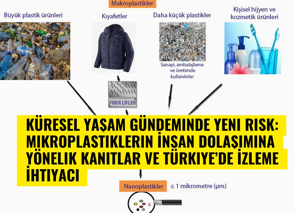 Küresel Yaşam Gündeminde Yeni Risk: Mikroplastiklerin İnsan Dolaşımına Yönelik Kanıtlar ve Türkiye’de İzleme İhtiyacı