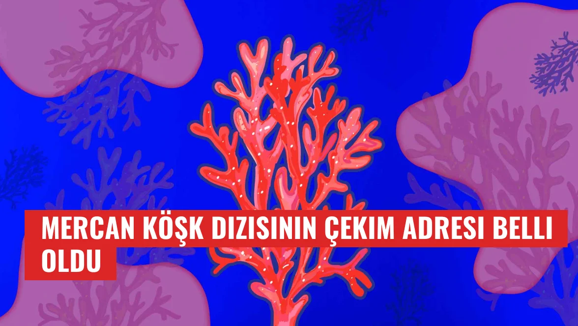 Mercan Köşk dizisinin çekim adresi belli oldu
