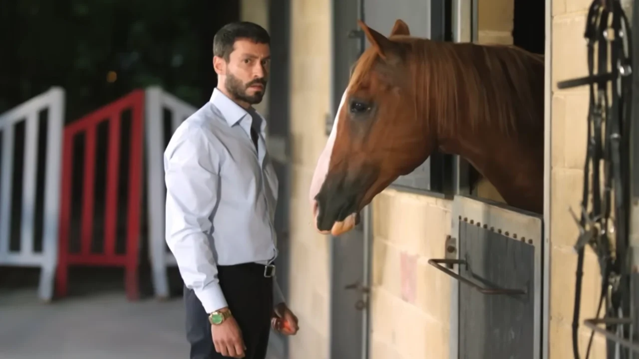 Muhtemel Aşk yeni bölüm fragmanı: Muhtemel Aşk 8. bölüm fragmanı yayınlandı mı?