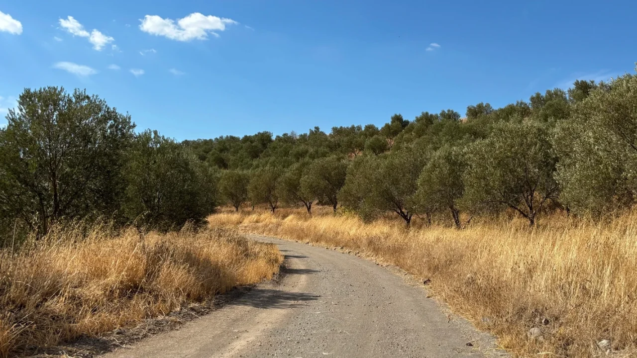Rezerv Bitince Açık Maden Çukurları Kaderine Terk Edilmiyor