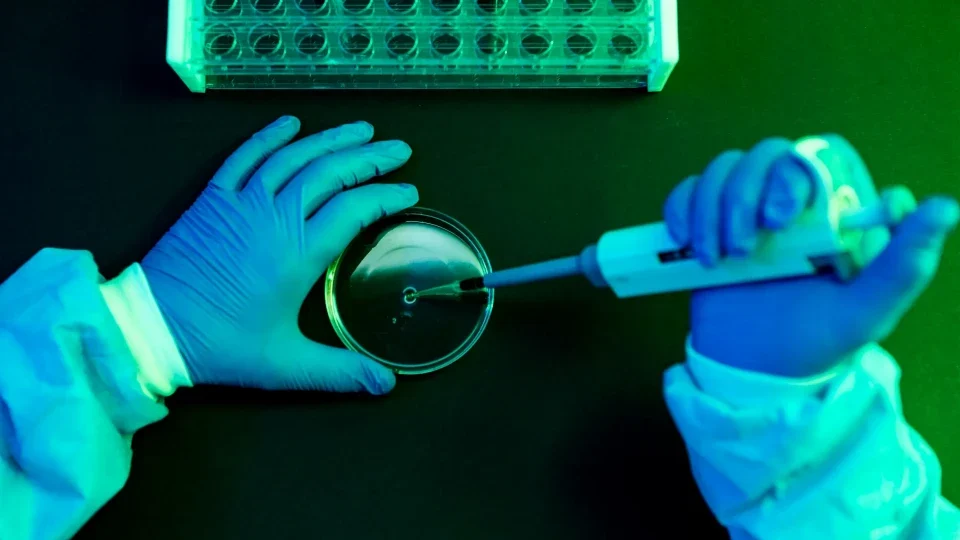 Shamonda virüsüyle ilgili ilk insan vakası iddiası endişe yarattı