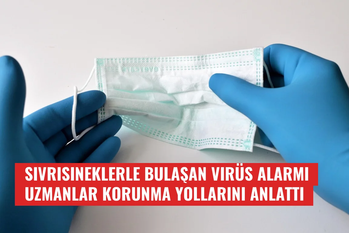 Sivrisineklerle Bulaşan Virüs Alarmı Uzmanlar Korunma Yollarını Anlattı