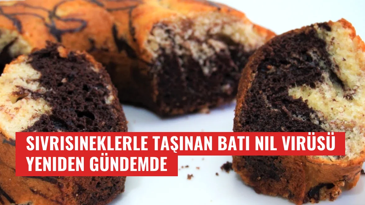 Sivrisineklerle taşınan Batı Nil virüsü yeniden gündemde
