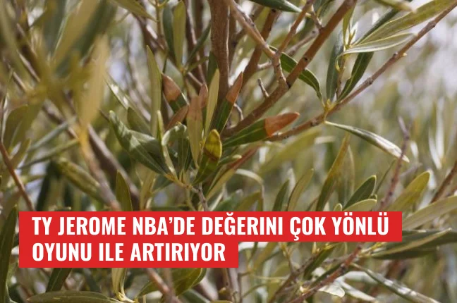 Ty Jerome NBA’de Değerini Çok Yönlü Oyunu ile Artırıyor