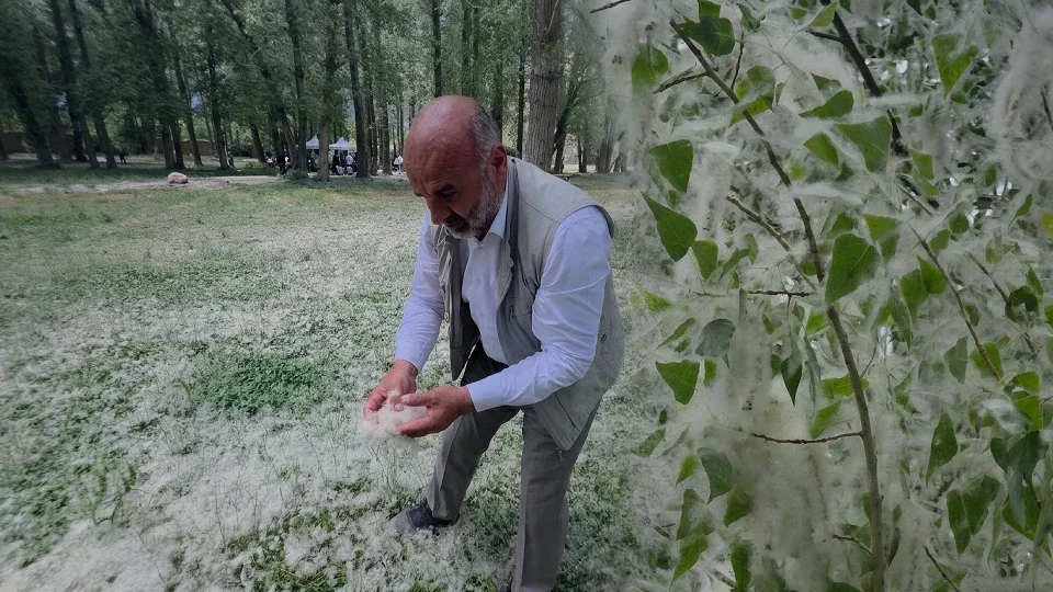 Van'da görenler gözlerine inanamadı: Her yer bembeyaz oldu