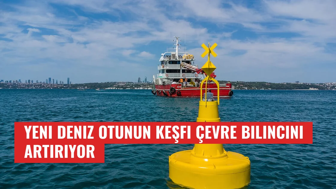 Yeni Deniz Otunun Keşfi Çevre Bilincini Artırıyor